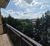 Exkluzívne ponúka na predaj 4 i byt v Myjave - Výhľad z balkóna 4-izbového bytu v Myjave na zelené okolie a sídlisko.