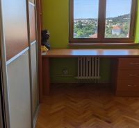 3 izbový byt v centre mesta na Štúrovej ulici s krásnym výhľadom - Izba s podlahou s dreveným dekorom, zelenou stenou a výhľadom z 3-izbového bytu.