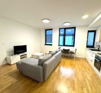 Medicínske centrum alebo budova s 8 apartmánmi - Obývačka s kuchyňou, sivá sedačka, TV, jedálenský kút a kuchynská linka.