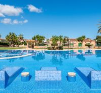 2-izb. bungalov so záhradou, Cala Murada, Mallorca - Bazén obklopený palmami v rekreačnom apartmáne Cala Murada Mallorca.