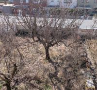 Radový domček na Zobore s výhľadom na mesto, Ružová ulica, garáž - Záhrada pri rodinnom dome na Ružovej ulici v Nitre s ovocnými stromami.
