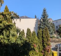 Radový domček na Zobore s výhľadom na mesto, Ružová ulica, garáž - Záhrada s ihličnanmi pri rodinnom dome na Ružovej ulici v Nitre, slnečný deň.