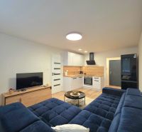 : 1,5-izbový byt, Košice – Juh, loggia, 43 m² - Obývačka s otvorenou kuchyňou, modrým gaučom a podlahou s dreveným dekorom v 2-izbovom byte.