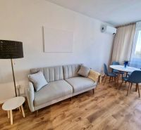 – PRENAJOM – 2 IZBOVÝ BYT – ŠALVIOVA – RUŽINOV  - Obývacia izba s pohovkou, jedálenským stolom a podlahou s dreveným dekorom v 2-izbovom byte.