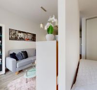 | Zariadený 1,5 izbový byt | 35m² | SLNEČNICE - Obývacia izba v 2-izbovom byte so sedacou súpravou a dekoratívnymi kvetináčmi.