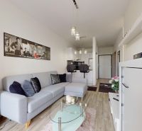 | Zariadený 1,5 izbový byt | 35m² | SLNEČNICE - Obývacia izba v 2-izbovom byte s pohovkou, kvetmi a moderným nábytkom.