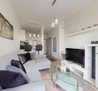 | Zariadený 1,5 izbový byt | 35m² | SLNEČNICE - Štýlový obývací priestor v 2-izbovom byte s pohovkou a televíziou.