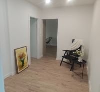NANOVO KOMPLETNE ZREKONŠTRUOVANÝ ešte NEOBÝVANÝ 4 IZB. BYT, EXNÁROVA - Chodba v 4-izbovom byte s podlahou s dreveným dekorom a obrazom na stene.