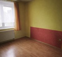 Bungalov za bezkonkurenčnú cenu Martin n. Žitavou - Izba v rodinnom dome s podlahou s dreveným dekorom a farebnou stenou.