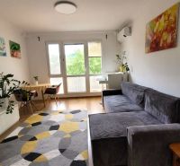 Prenájom 3 izbový byt, Teplická ulica, Bratislava III. Nové Mesto - Obývacia izba s pohovkou v 3-izbovom byte s podlahou s dreveným dekorom a dekoráciami.