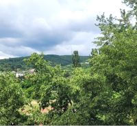 Prenájom 3 izbový byt, Teplická ulica, Bratislava III. Nové Mesto - Pohľad na zeleň v Bratislave - Novom Meste z Teplickej, obklopený kopcami.