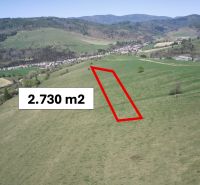 Čierny Balog – 2.730 INVESTIČNÝ pozemok v podiele 1/1 - Poľnohospodárske a lesné pozemky Čierny Balog, rozloha 2 730 m² medzi malebnými kopcami.