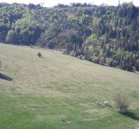 Čierny Balog – 2.730 INVESTIČNÝ pozemok v podiele 1/1 - Panoráma poľnohospodárskych a lesných pozemkov pri Čiernom Balogu s jednotlivými stromami.