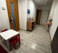 Podnikateľské priestory v  širšom centra mesta Nové Zámky, prízemie - Interiér obchodných priestorov s podlahou s dreveným dekorom a detským kútikom.