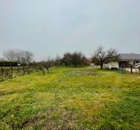 PREDAJ - Veľký rodinný dom s krásnym pozemkom – Pata (20 km od Nitry) - Záhrada pri rodinnom dome na Hlohoveckej ulici v Pate, trávnatá plocha a stromy.