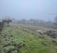 PREDAJ - 4-izbový rodinný dom s garážou, tichá lokalita, Svätoplukovo - Záhrada so stromami v hmlistom počasí v Svätoplukove, v pozadí rodinné domy.