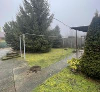 PREDAJ - 4-izbový rodinný dom s garážou, tichá lokalita, Svätoplukovo - Záhrada pri rodinnom dome v Svätoplukove, ihličnaté stromy, chodník a zeleň.