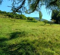 VRÍCKO - Stavebný pozemok vo výmere 1036 m2, okr.Martin - Zelená lúka obklopená stromami vo Vrícku, ideálna pre pozemky - bývanie.