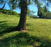 VRÍCKO - Stavebný pozemok vo výmere 1036 m2, okr.Martin - Stromy a zelené lúky v Vrícku sú ideálne pre Pozemky - bývanie.