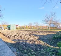 PREDAJ - Rodinný dom - Pavlice, Celková rozloha 1469m² - Záhrada pri rodinnom dome v Pavliciach so stromami a malou zelenou budovou.