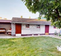 Predaj, rodinný dom Senica - EXKLUZÍVNE HALO REALITY - Záhrada pri rodinnom dome v Senici s trávnikom a stromom, prístavba vzadu.