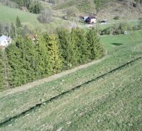 Čierny Balog – 338 m2 POĽNOHOSPODÁRSKY pozemok v 1/1 - Poľnohospodárske a lesné pozemky v Čiernom Balogu s lesmi a vidieckymi domami.