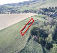 Čierny Balog – 338 m2 POĽNOHOSPODÁRSKY pozemok v 1/1 - Poľnohospodárske a lesné pozemky okolo Čierneho Balogu s vyznačeným úsekom na svahu.