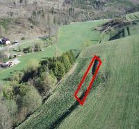 Čierny Balog – 338 m2 POĽNOHOSPODÁRSKY pozemok v 1/1 - Lúky a lesy na poľnohospodárskych a lesných pozemkoch v Čiernom Balogu, obklopené krajinou.