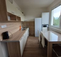 Krásny 3 izbový byt na prenájom. - Kuchyňa v 3-izbovom byte s podlahou s dreveným dekorom a moderným zariadením.