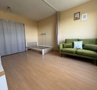Predaj pekný 1 izbový byt, 35 m2, Dudvážska ulica, BA II. - Izba v 1-izbovom byte s pohovkou, posteľou a podlahou s dreveným dekorom.