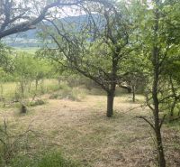 PREDAJ/ Krásna chalupa s vinicou/Jablonov nad Turňou - Prírodné prostredie obklopené stromami v Jablonove nad Turňou vhodné pre chatu.