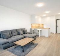 U NÁS !!! MODERNÝ 2i,NOVOSTAVBA, LOGGIA, Slnečnice UNIQ, Fialova ulica - Obývacia izba v 2-izbovom byte, sivá sedačka, televízia a podlaha s dreveným dekorom.