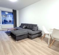U NÁS !!! MODERNÝ 2i,NOVOSTAVBA, LOGGIA, Slnečnice UNIQ, Fialova ulica - Svetlá obývacia izba s podlahou s dreveným dekorom a sivou sedačkou v 2-izbovom byte.