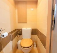 Pekný 2i byt, REKONŠTRUKCIA, 2 x SAMOSTATNÁ IZBA, KLÍMA,Osuského ulica - Kúpeľňa s toaletou a dreveným dekorom v 2-izbovom byte.