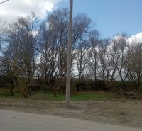 Pozemok 1160m2, Nižná Hutka, ul. Záhradkárská - Stĺp pri ceste obklopený stromami na Zahradkárskej ulici v Nižnej Hutke, pozemky - bývanie.