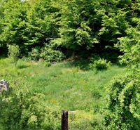 Pozemok 1066m2, Obišovce - Pozemok na bývanie v Obišovciach so zeleňou a okolitými stromami ponúka prírodný úkryt.