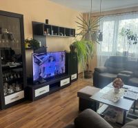 3 izbový byt 75m2, ul.Bruselská, Košice- Ťahanovce - Obývačka s pohovkou, televízorom a podlahou s dreveným dekorom v 3-izbovom byte.