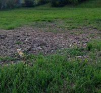 Na predaj stavebné pozemky - 7 500 m² v obci Zubné. - Zelený trávnik a stromy pri zvláštnych nehnuteľnostiach v Zubnom.
