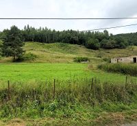 Na predaj stavebné pozemky - 7 500 m² v obci Zubné. - Zvláštne nehnuteľnosti v Zubnom: rozpadnutá stavba, tráva, stromy a kopec v pozadí.