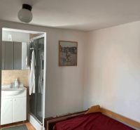 Exkluzívne bývanie: 4izb rod. dom /záhrada/garáž/v centre DS - Izba v rodinnom dome s posteľou, kúpeľňou a zeleným kobercom.