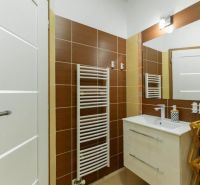 Moderný apartmán v centre Rajeckých Teplíc rovno oproti kúpeľom Afrodi - Kúpeľňa v Rekreačnom apartmáne s umývadlom, zrkadlom a rebríkovým radiátorom.