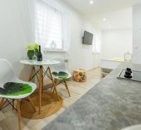 Moderný apartmán v centre Rajeckých Teplíc rovno oproti kúpeľom Afrodi - Rekreačný apartmán s podlahou s dreveným dekorom, kuchynským kútom a sedením.