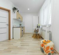 Moderný apartmán v centre Rajeckých Teplíc rovno oproti kúpeľom Afrodi - Svetlá kuchyňa v Rekreačnom apartmáne s podlahou s dreveným dekorom a jednoduchým nábytkom.