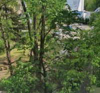 Nadštandardný, dômyselne zariadený 3-izbový byt  - PREDAJ. - Výhľad na park so stromami z 3-izbového bytu na ulici Antona Bernoláka v Žiline.