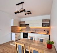Prenájom nový 2-izbový byt -49m² Žilina-Vlčince, EUROTERRACE - Kuchyňa v 2-izbovom byte s podlahou s dreveným dekorom a moderným vybavením.
