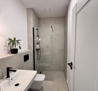 Prenájom nový 2-izbový byt -49m² Žilina-Vlčince, EUROTERRACE - Kúpeľňa v 2-izbovom byte s bielym umývadlom, sprchou a kvetináčom na poličke.