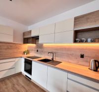 Prenájom nový 2-izbový byt -49m² Žilina-Vlčince, EUROTERRACE - Kuchyňa v 2-izbovom byte s podlahou s dreveným dekorom a LED osvetlením pod skrinkami.