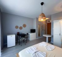 Moderná garsónka (41 m²) s výhľadom na bazén – Rezort ANTARES - Garsónka s posteľou, pracovným stolom, skriňou, mini chladničkou a podlahou s dreveným dekorom.