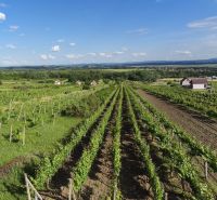 3-podlažný vínny domček s vinicou v obci Vinica, okr. V. Krtíš. - Vinice v okolí mesta Vinica s domami na pozadí pod modrou oblohou.