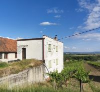 3-podlažný vínny domček s vinicou v obci Vinica, okr. V. Krtíš. - Vidiecky dom pri vinohradoch vo Viniciach, s krásnym výhľadom na okolitú krajinu.